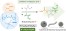 Engineering Methacrylic Block Copolymers by Organic Catalysis Group Transfer Polymerization-Induced Self-Assembly in Nonpolar Media at Room Temperature figure